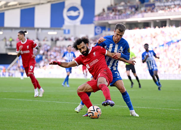 伤病的背景 伤病的背景