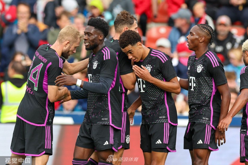 詹姆斯可能 詹姆斯可能